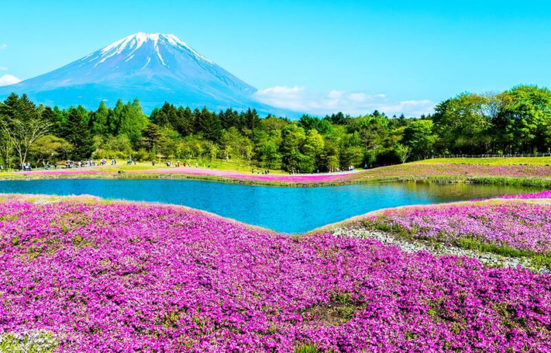 Mt. Fuji, Lake Kawaguchi and Yamanaka, Onsen 1-Day Tour - Itinerary and Locations