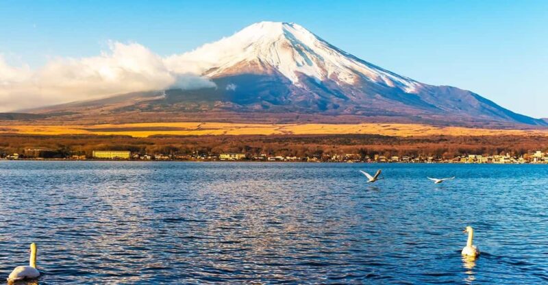 Mt.Fuji, Lake Kawaguchi &Yamanaka, Hot Spring Full-Day Tour - Itinerary Highlights