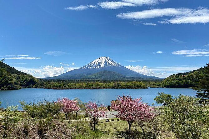 Mt Fuji Lakeshores Full-Day Bike Tour - Good To Know