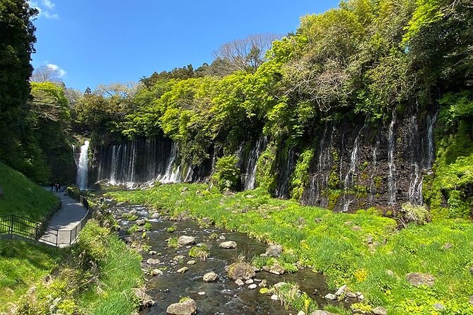 Mt Fuji Lakeshores Full-Day Bike Tour - Customer Feedback