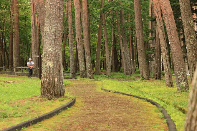 Mt. Fuji Luxury Getaway and Hakone Adventure by Private Car - Highlights of the Private Car Tour