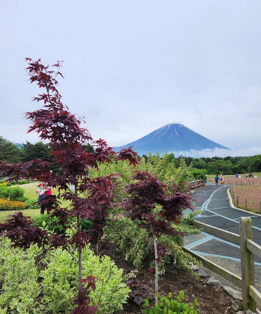 Mt. Fuji One Day Private Tour by Car With English Driver - Key Points