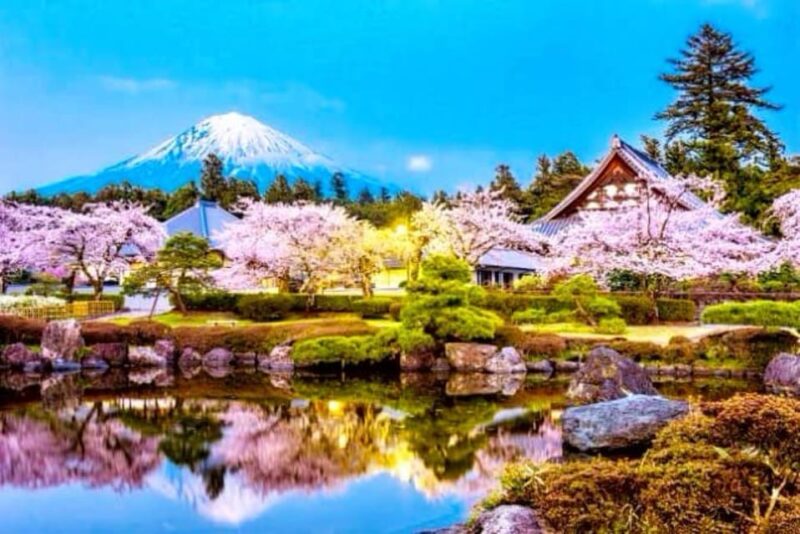 Mt. Fuji One Day Private Tour With English Speaking Driver - Key Points