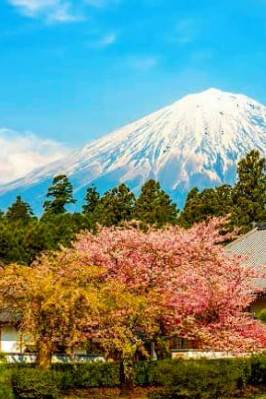 Mt. Fuji One Day Private Tour With English Speaking Driver - Itinerary Highlights