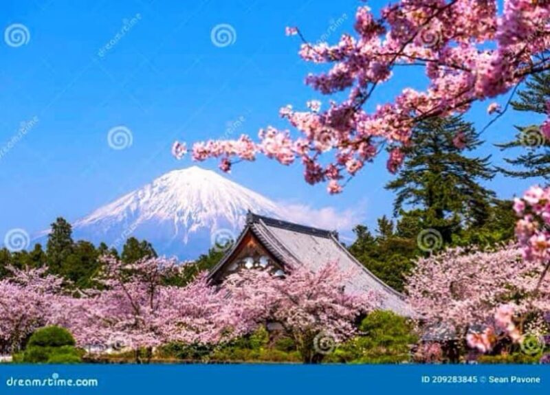 Mt. Fuji One Day Private Tour With English Speaking Driver - Additional Activities