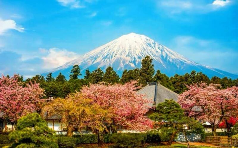Mt. Fuji One Day Private Tour With English Speaking Driver - Main Stops