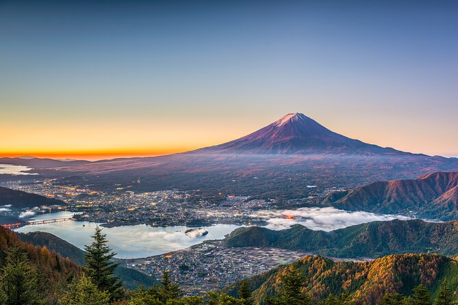 Mt. Fuji or Hakone Private Sightseeing Day Tour From Tokyo - Additional Information