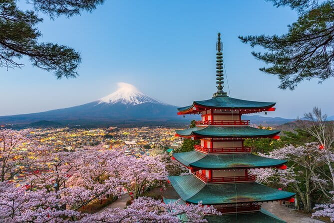 Mt. Fuji or Hakone Private Sightseeing Day Trip From Tokyo - Key Points