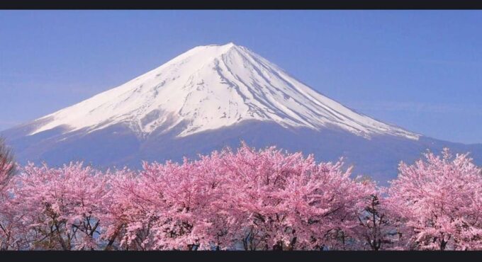 Mt. Fuji, Oshino Hakkai, Lake Kawaguchi, Lake Ashi 1 Day Tour - Oshino Hakkai and Lake Kawaguchi