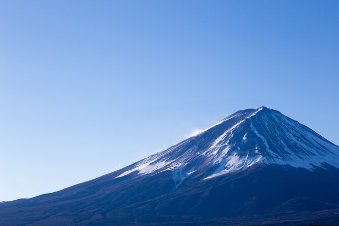 Mt Fuji, Panoramic Ropeway & Seasonal Fruits Picking - Tour Conditions and Requirements