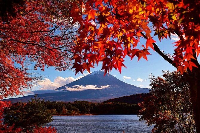 Mt Fuji, Panoramic Ropeway & Seasonal Fruits Picking - Weather and Schedule Considerations