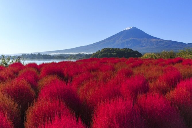 Mt Fuji, Panoramic Ropeway & Seasonal Fruits Picking - Panoramic Ropeway: Soaring Above Mt. Fuji