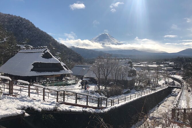 Mt.Fuji (Plus Gotemba)Tour , From/To Tokyo&Yokohama, 2- 12 Guests - Exploring Mount Fuji