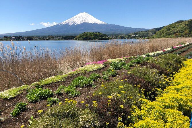 Mt.Fuji (Plus Gotemba)Tour , From/To Tokyo&Yokohama, 2- 12 Guests - Discovering Scenic Destinations