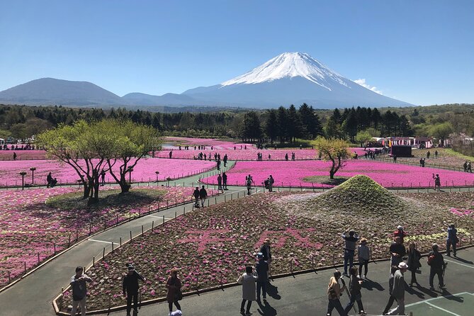 Mt.Fuji (Plus Gotemba)Tour , From/To Tokyo&Yokohama, 2- 12 Guests - Personalized Attention and Customization