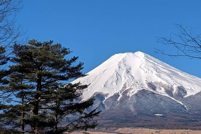 Mt. Fuji Private Car Tour From Tokyo - Inclusions and Transportation