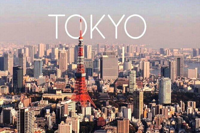 Mt. Fuji Private Car Tour From Tokyo - Experience Information