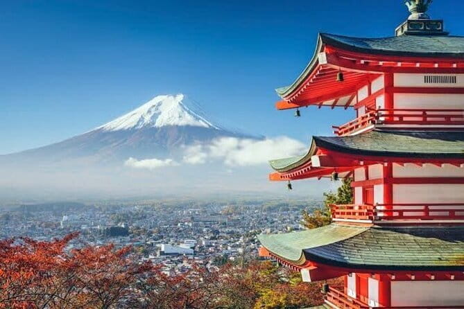 Mt. Fuji Private Car Tour From Tokyo - Highlights of the Tour