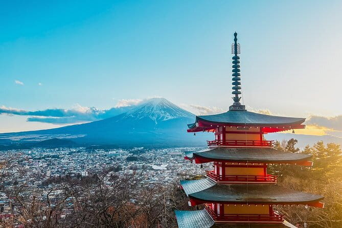 Mt. Fuji Private Car Tour From Tokyo - Additional Information