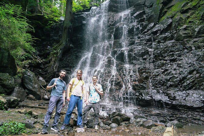 Mt. Fuji Private Chartered Tour With Nature & Wasabi Farm - Meeting and Pickup Information