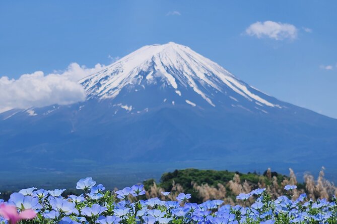 Mt Fuji Private Day Tour With English Speaking Driver - Inclusions