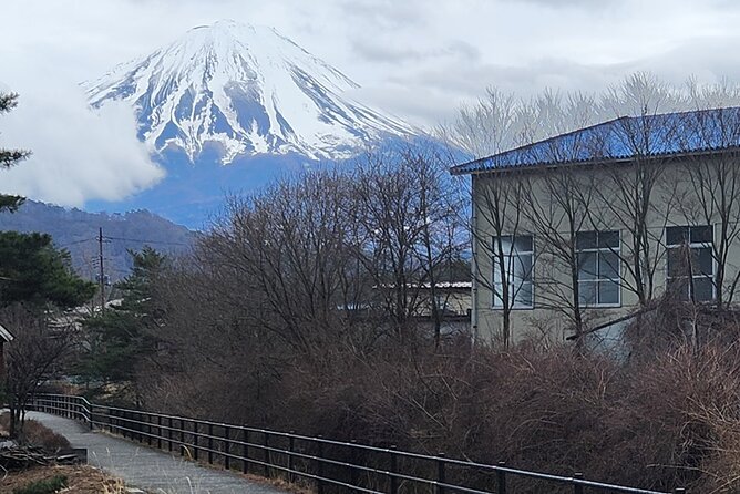 Mt Fuji Private Day Tour With English Speaking Driver - Scenic Viewpoints