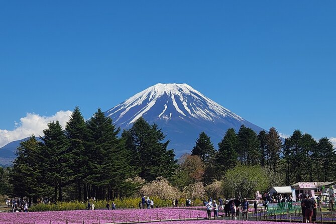 Mt Fuji Private Day Tour With English Speaking Driver - Onboard Experiences