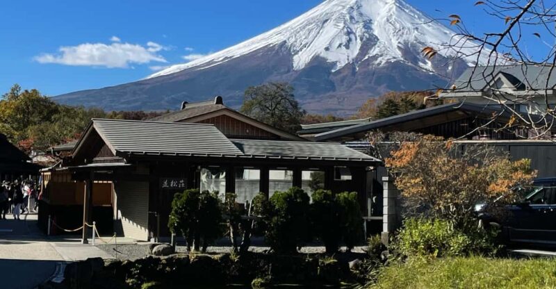 Mt Fuji Private Day Tour With English Speaking Driver - Oishi Park and Lake Kawaguchiko
