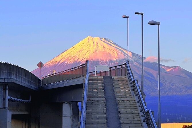 Mt.Fuji Private Day Trip From Tokyo With Driver & Top Photo Spots - Key Points