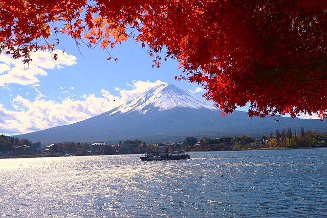 Mt.Fuji Private Day Trip From Tokyo With Driver & Top Photo Spots - Pickup and Transportation Arrangements