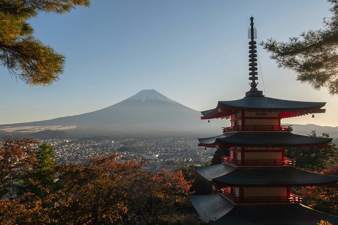 Mt.Fuji Private Day Trip From Tokyo With Driver & Top Photo Spots - Exploring the Iconic Mount Fuji