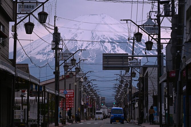 Mt.Fuji Private Day Trip From Tokyo With Driver & Top Photo Spots - Top Photo Spots Along the Journey