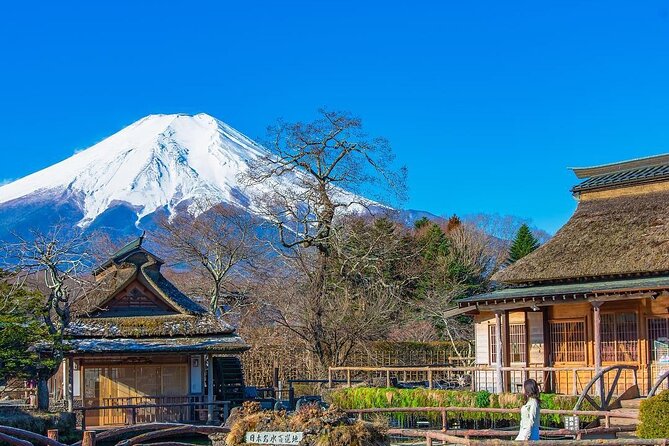 Mt.Fuji Private Day Trip From Tokyo With Driver & Top Photo Spots - Customizing Your Experience