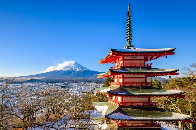 Mt.Fuji Private Day Trip From Tokyo With Driver & Top Photo Spots - Booking and Cancellation Policy