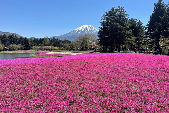 Mt Fuji Private Full Day Tour With Multilingual Chauffeur - Key Points