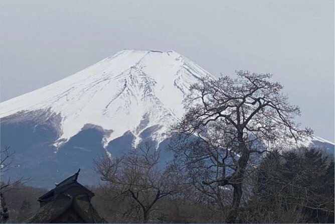 Mt Fuji Private Full Day Tour With Multilingual Chauffeur - Price and Inclusions