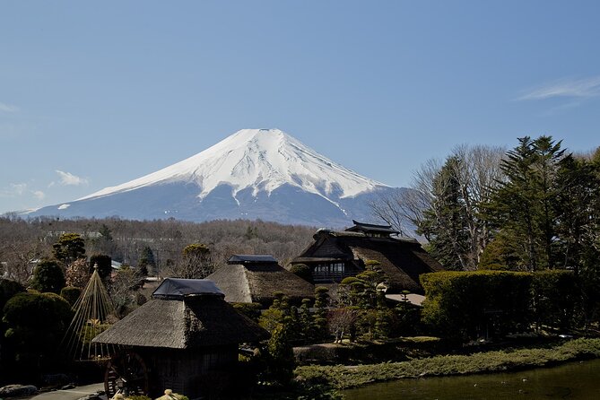 Mt Fuji Private Full Day Tour With Multilingual Chauffeur - Accessibility and Participation