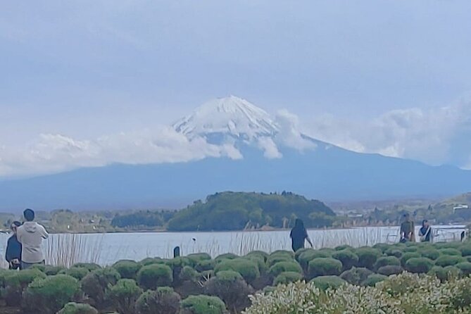 Mt Fuji Private Full Day Tour With Multilingual Chauffeur - Customer Reviews