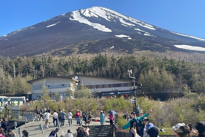Mt Fuji Private Full Day Tour With Multilingual Chauffeur - Tour Provider