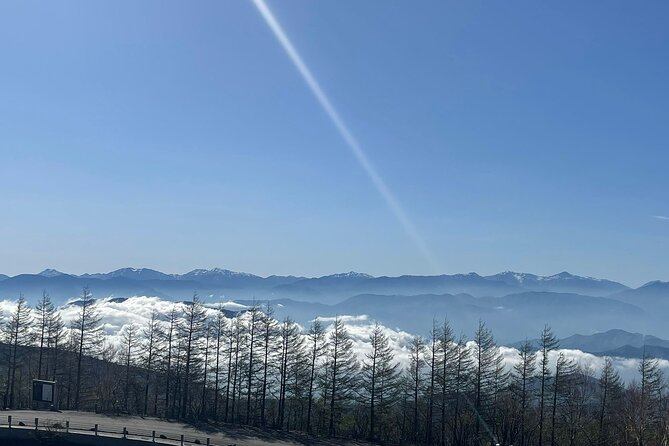 Mt Fuji Private Full Day Tour With Multilingual Chauffeur - Cancellation Policy