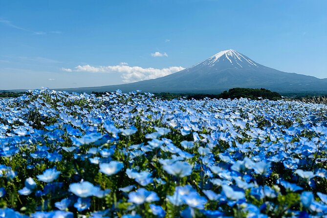 Mt. Fuji Private Tour by Car With English Guide - Good To Know