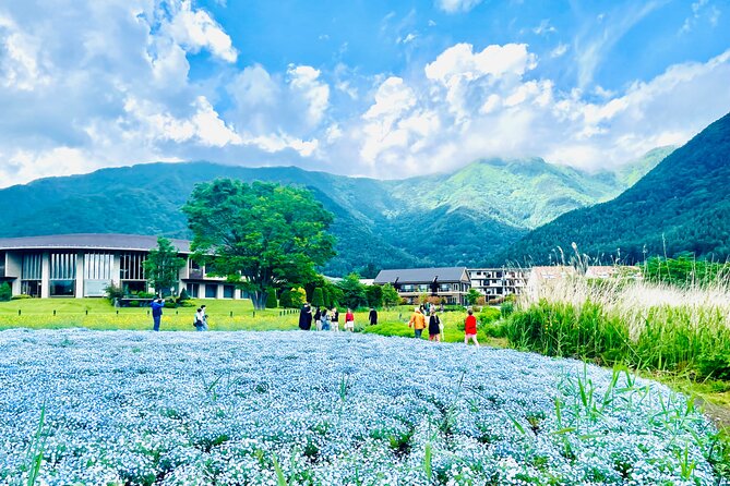 Mt. Fuji Private Tour by Car With English Guide - Accessibility and Participation