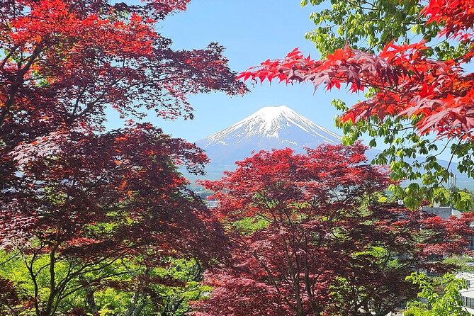 Mt. Fuji Private Tour by Car With English Guide - Sum Up