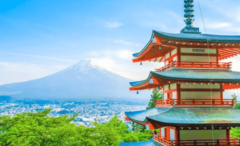Mt. Fuji Private Tour by Car With English Speaking Driver - Activity Description