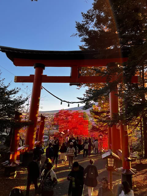 Mt. Fuji Private Tour by Car With English Speaking Driver - Pickup and Drop-off
