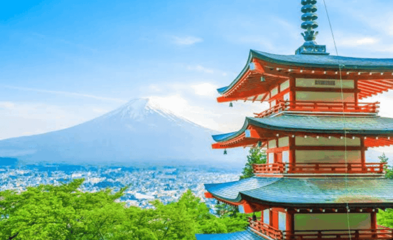 Mt. Fuji Private Tour by Car With English Speaking Driver - Transportation and Guides