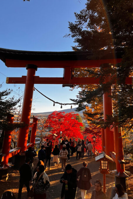 Mt. Fuji Private Tour by Car With English Speaking Driver - Reservation Information