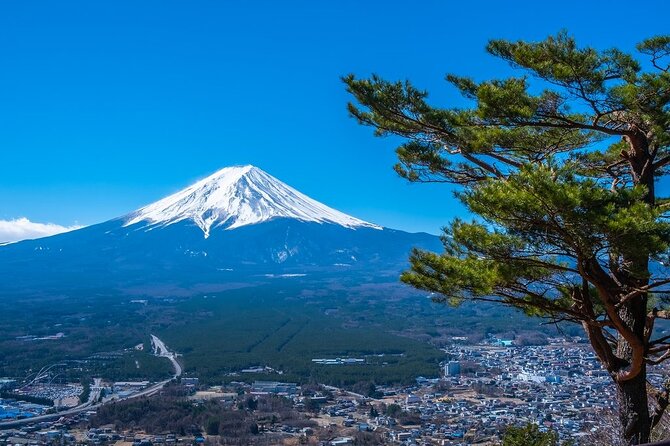 Mt. Fuji Private Tour by Car With Pick-Up From Tokyo - Meeting and Pickup