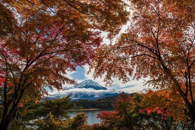 Mt. Fuji Private Tour by Car With Pick-Up From Tokyo - Cultural Experiences