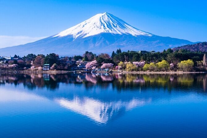 Mt. Fuji Private Tour From Tokyo With English Guide - Accessibility and Accommodations